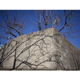 dailyPhoto9